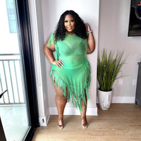 Mimosa Lace Plus Size Casual Dress