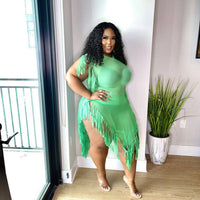 Mimosa Lace Plus Size Casual Dress