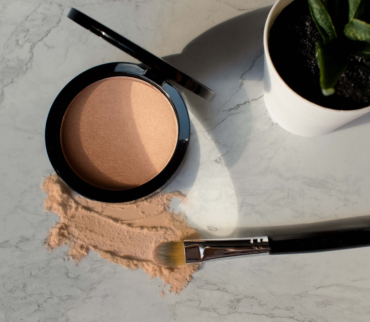 Luminizing Powder -Cookie